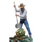 Coa agavera con mango de madera de 42', TRUPER 5