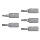 Estuche con 5 puntas torx T10 con seguro largo 1', EXPERT 2