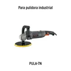 Bolsa con 2 carbones de repuesto para PULA-7N, TRUPER 2