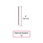 Kilo de clavo estándar 4' con cabeza en caja de 10 kg, FIERO 2