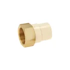 Adaptador hembra de CPVC 1-1/2'con inserto y tuerca de latón 1
