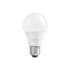 Foco LED 9W (60W) A19, 6500K blanca fría, 800 lm, caja 1