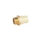 Adaptador macho de CPVC 1-1/4' con inserto y tuerca de latón 1