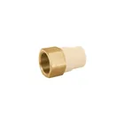 Adaptador hembra de CPVC 1-1/4'con inserto y tuerca de latón 1