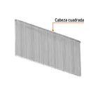 Caja con 2500 clavos calibre 16, 38 mm para CLNE-16, TRUPER 2