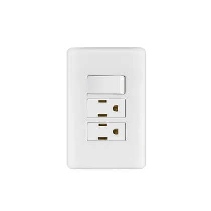 Placa armada 2 contactos e interruptor sencillo, BASIC