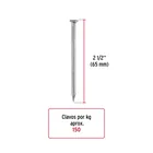 Bolsa con 1 kg de clavos para concreto galvanizados 2-1/2' 2