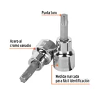Dado punta torx T-40, cuadro 3/8', TRUPER 2