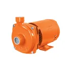 Bomba centrífuga para agua, 1 HP, TRUPER EXPERT 1