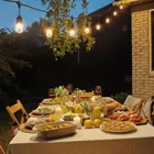Serie de 14.6 m con 24 luces incandescentes para exterior 6