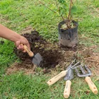 Juego de 4 herramientas, mangos de 6' para jardín, TRUPER 2