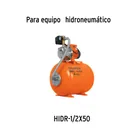 Manómetro para equipos hidroneumáticos, TRUPER 2