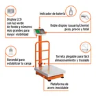Báscula electrónica de plataforma, 200 kg, inoxidable TRUPER 2
