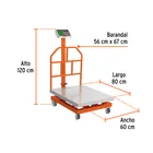 Báscula electrónica de plataforma, 600 kg, inoxidable TRUPER 3