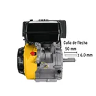 Motor a gasolina 13HP, PRETUL 4