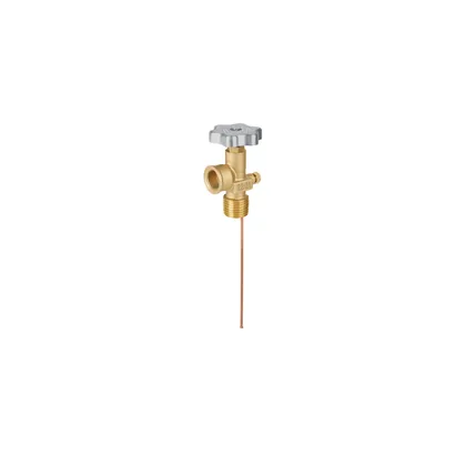 Válvula de servicio para tanque estacionario hasta 300 L